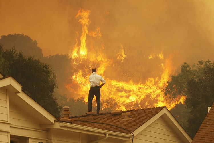 چرا کالیفرنیا آنقدر دچار آتش سوزی می شود؟ - زومیت
