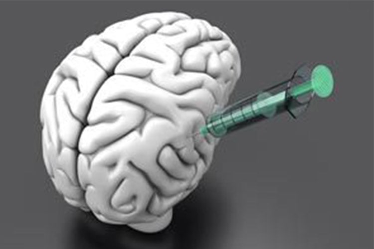 کشف راهی جدید برای تحویل موثر دارو به مغز