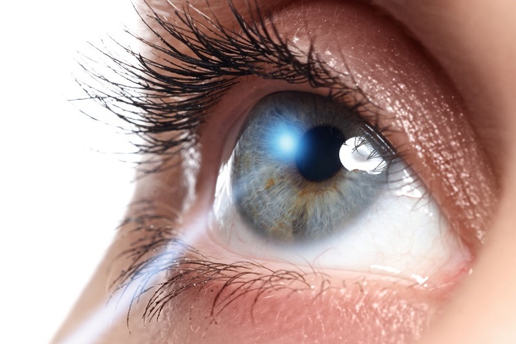 نگاهی به ساختار چشم و سازوکار بینایی 
