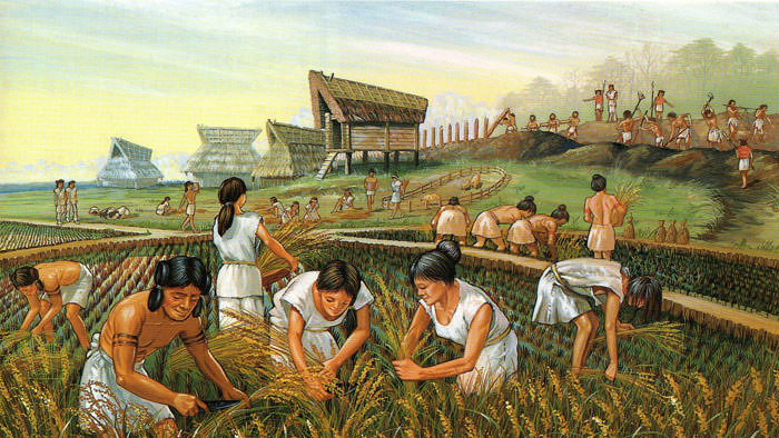 ancient fram / کشاورزی باستان