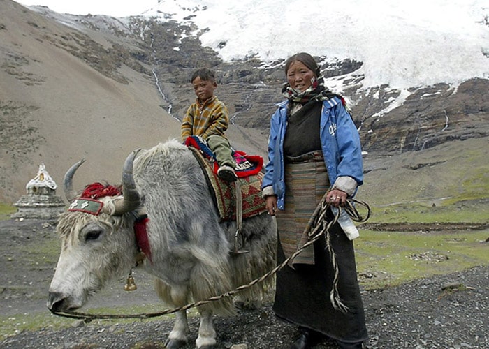 سازگاری ژنتیکی ساکنان تبت