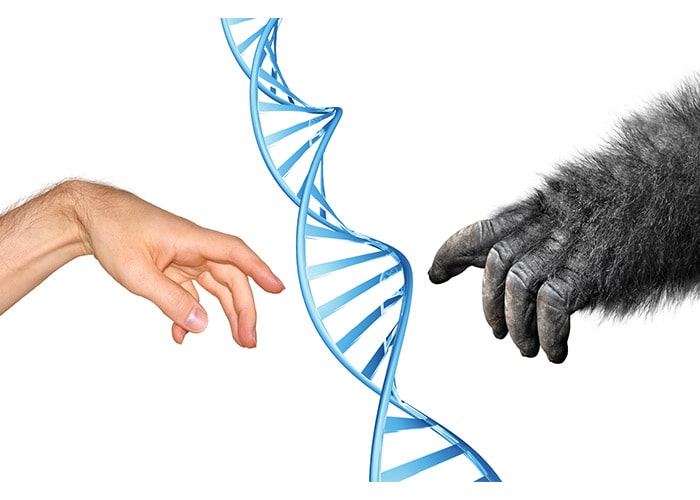 تغییر ژنتیکی انسان