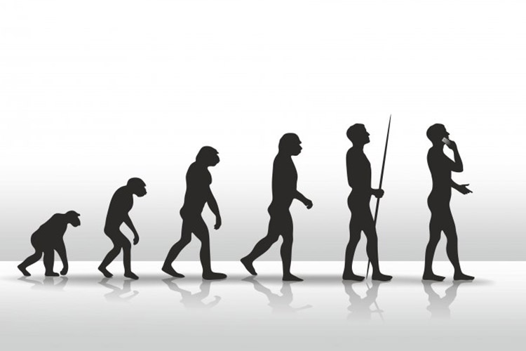 تکامل انسان