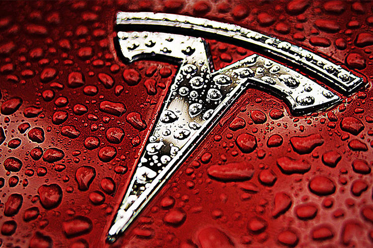Tesla Logo Badge