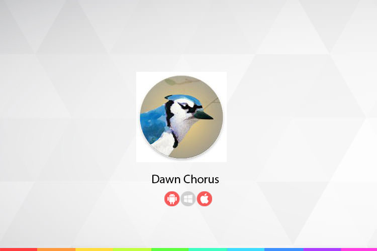 زوم اپ: Dawn Chorus؛ با آوای دلنشین طبیعت از خواب بیدار شوید