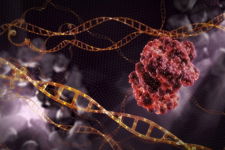 کشف یکی از بزرگ‌ترین اسرار همانندسازی DNA