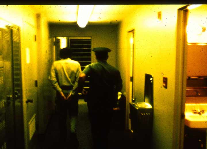 زندانیان به مرکز پلیس پالو آلتو برده شدند، جایی که آنجا اطلاعاتشان ثبت شد، انگشت‌نگاری شدند