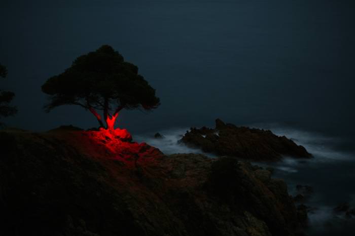 تصاویر شگفت انگیز با استفاده از نور قرمز