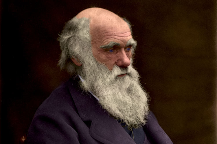 ۱۲ حقيقت جالب در مورد چارلز داروين به مناسبت ۲۰۹مين سالگرد تولد او