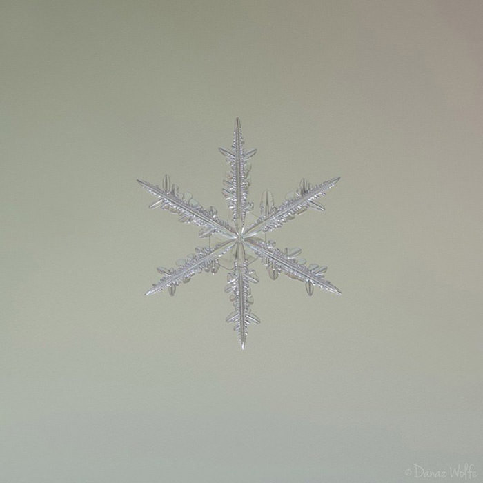 عکس ماکرو از دانه‌ی برف