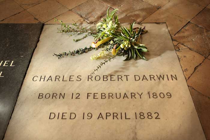 داروین در کلیسای وست‌مینستر دفن شده است