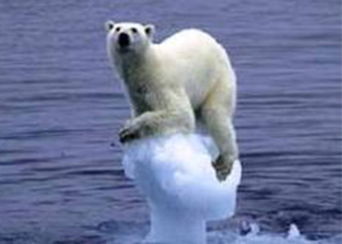 آب شدن یخ ها و در خطر قرار گرفتن خرس قطبی