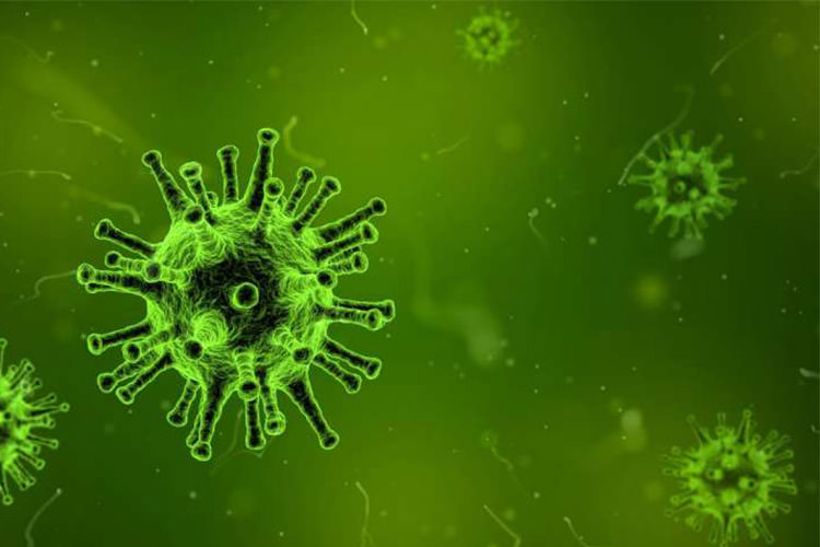 چگونه ویروس‌ها با غیر فعال سازی سیستم ایمنی موجب سرطان می‌شوند