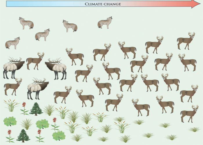 انقراض گونه ها در اثر تغییرات اقلیمی
