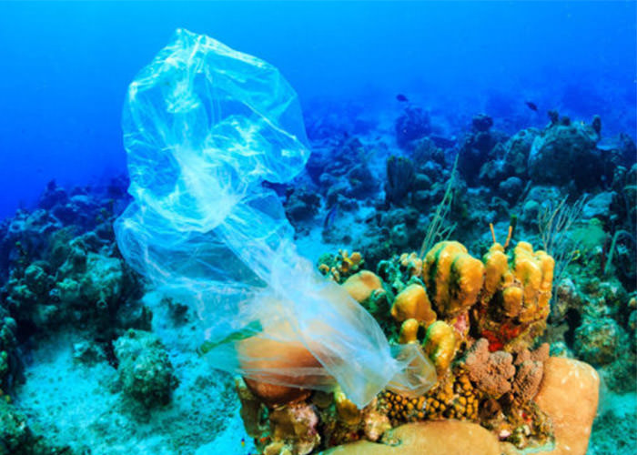 ضایعات پلاستیکی و مشکلات مرجان ها