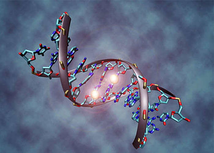 متیلاسیون DNA