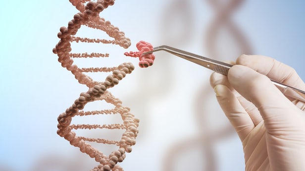 تغییر دقیق نوکلئوتیدهای DNA با تکنیک ویرایش ژنی 
