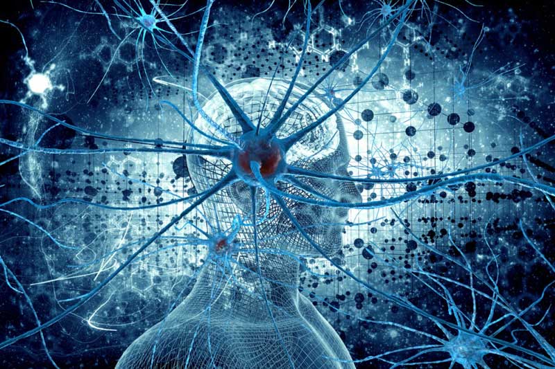 خوردن ماهی احتمالا باعث کاهش ریسک MS میشود