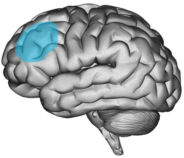 Dorsolateral prefrontal cortex