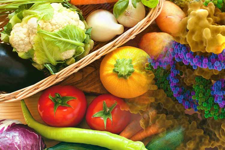 چراغ سبز وزارت کشاورزی آمریکا به مواد غذایی اصلاح ژنتیکی