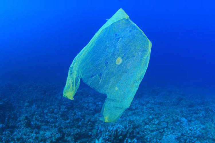 جدال ها بر سر منع استفاده از کیسه های پلاستیکی ادامه دارد