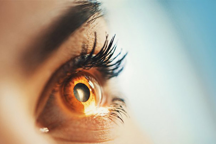 پرینت سه بعدی قرنیه چشم انسان برای نخستین بار