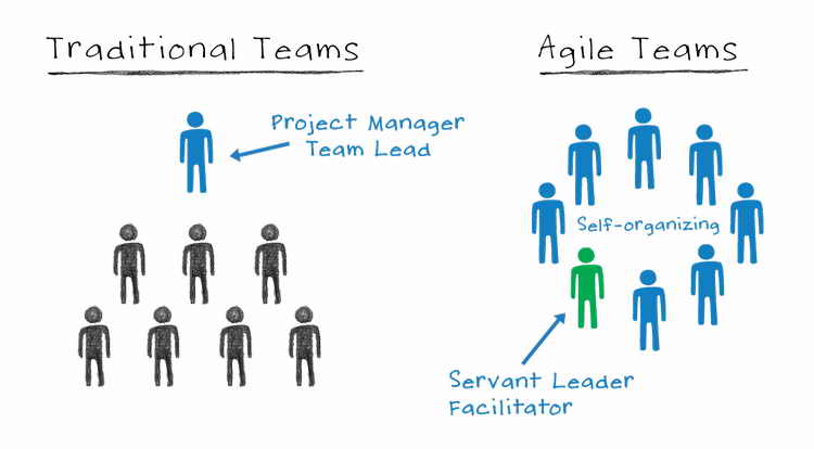 Agile Team