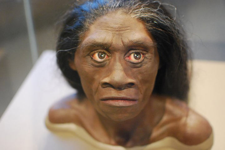 تصویری از چهره‌ی بازسازی شده انسان فلورسی