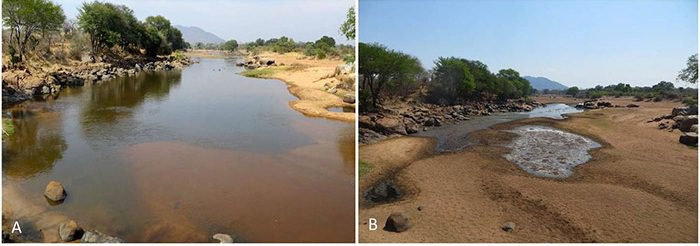 خشک شدن رودخانه در تانزانیا طی فصل خشک