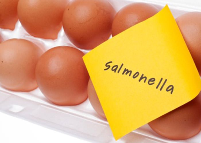 آلودگی پوسته تخم مرغ به سالمونلا