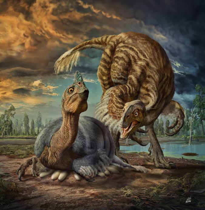 Oviraptorosaur Illustration 
