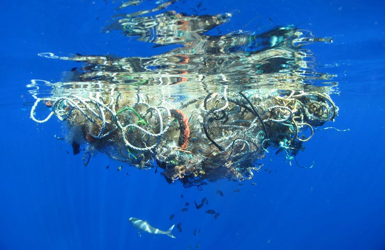 زباله دان های اقیانوسی