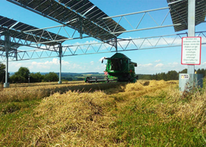 کشاورزی در مزارع دو منظوره تولید برق-