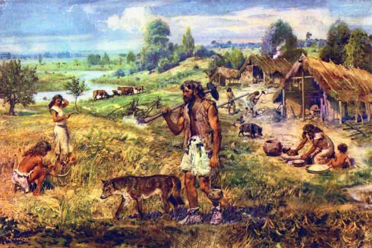کشاورزان اولیه چگونه زمین را به خدمت خود در آوردند