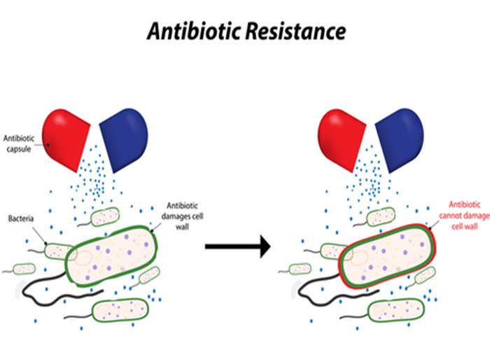 نحوه ایجاد مقاومت به آنتی بیوتیک
