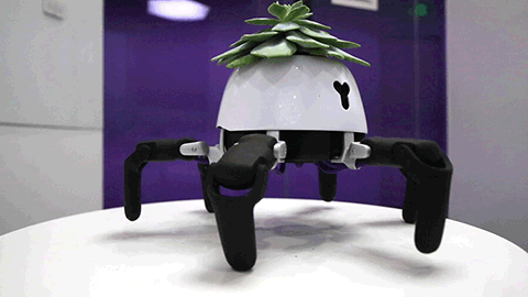 ترکیب ربات و گیاه