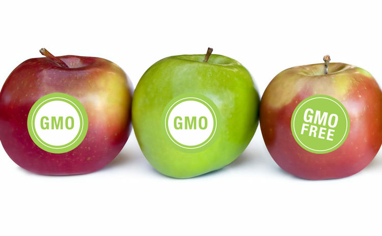 GMO / اصلاح ژنتیک گیاهان