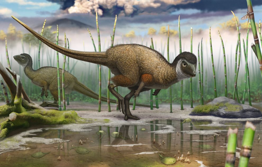 dinosaurs evolution / تکامل دایناسورها