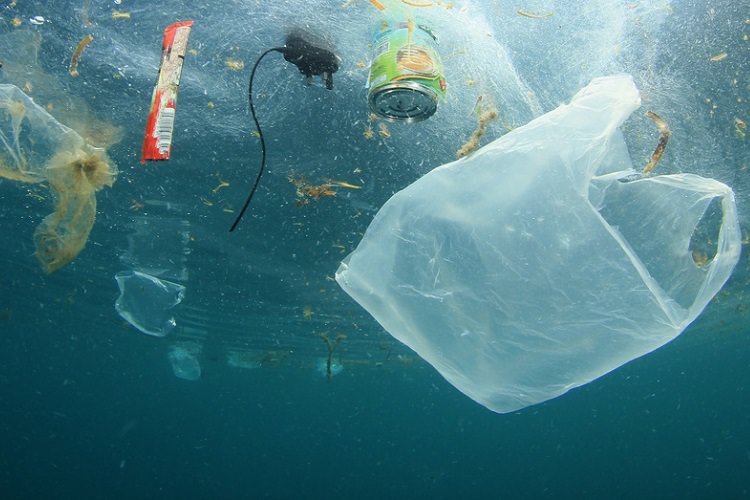 آیا می‌توان اقیانوس‌ها را از وجود پلاستیک پاکسازی کرد