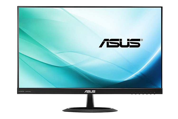 asus monitor 19 inch price