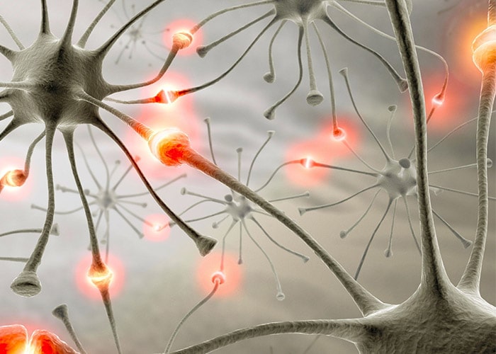 نورون ها