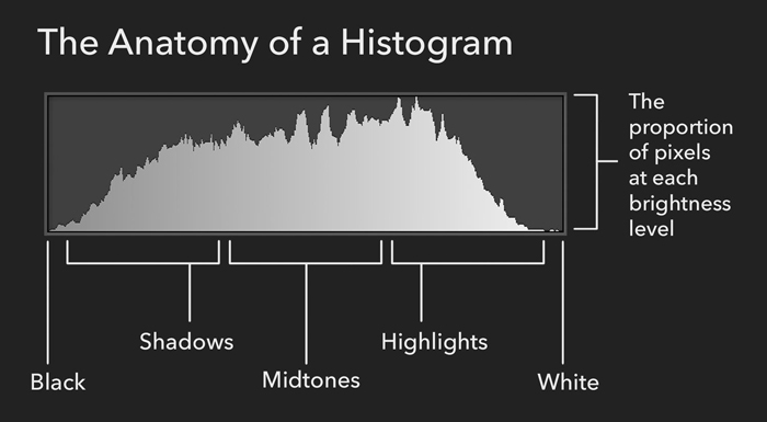 هیستوگرام / Histogram