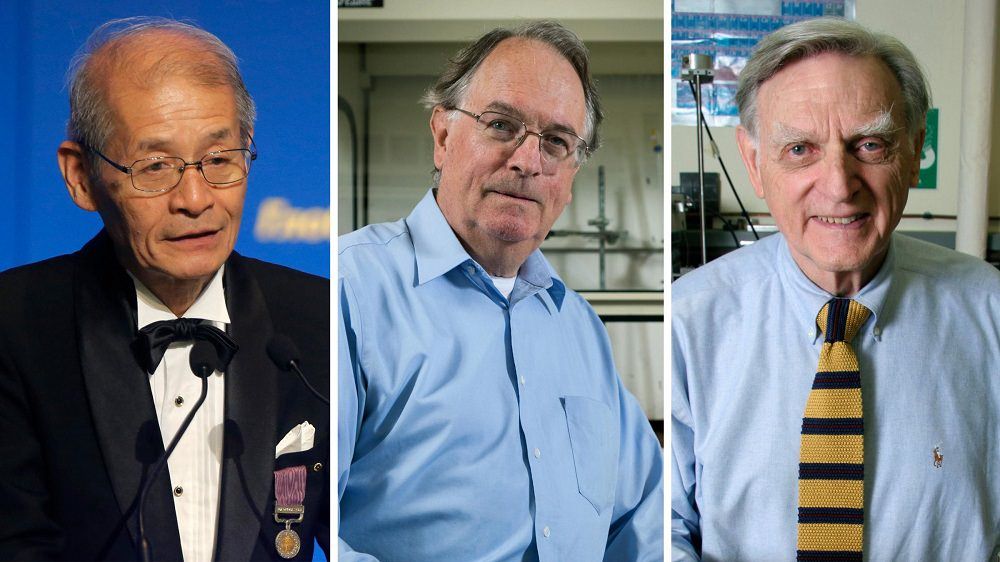 برندگان نوبل شیمی ۲۰۱۹