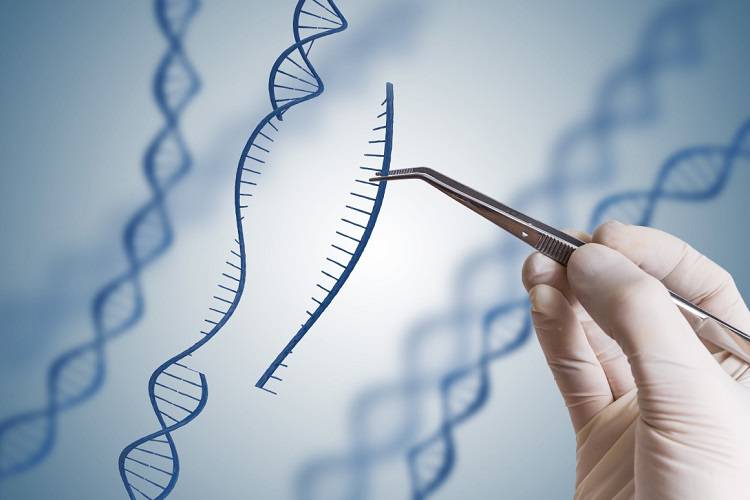 اصلاح ۹۰ درصد از نقص‌های ژنتیکی با ابزار جدید ویرایش ژن 