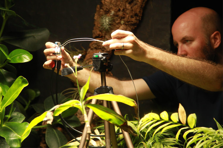 عکس ثبت‌شده يک گياه نخستين سلفي نباتي جهان لقب گرفت