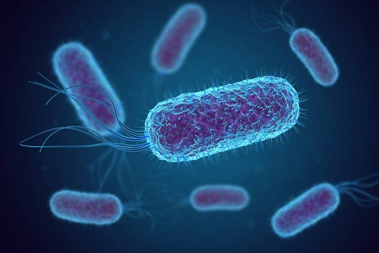 روش غیرژنتیکی باکتری‌ها برای کسب مقاومت دربرابر آنتی‌بیوتیک‌ها