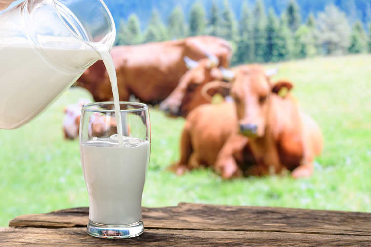شیر گاو یا جایگزین‌های غیرلبنی؛ کدام‌یک بهتر است؟