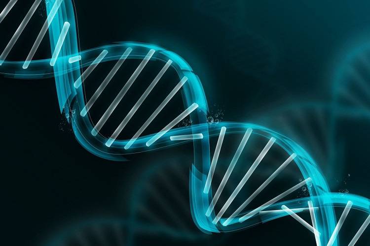 پاسخ به سوالات مرتبط با وضعیت مردی که دو سری DNA دارد