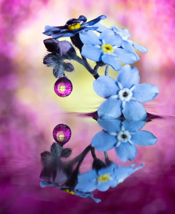 Macro photography