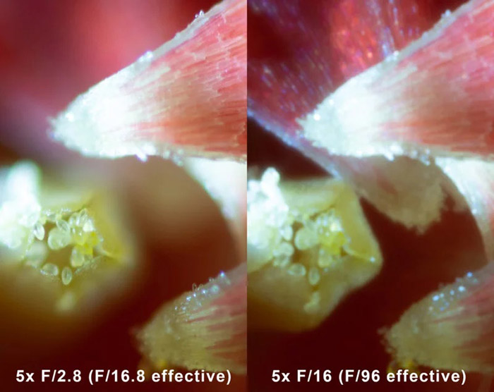 Macro photography